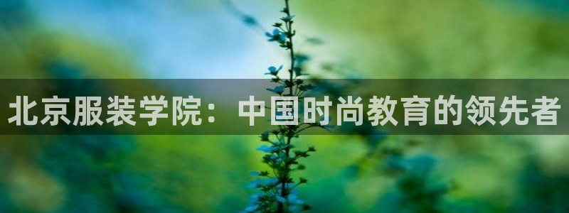 谈球吧app赛事分析