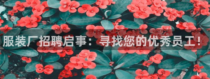 谈球吧官网在线入口免费观看高清