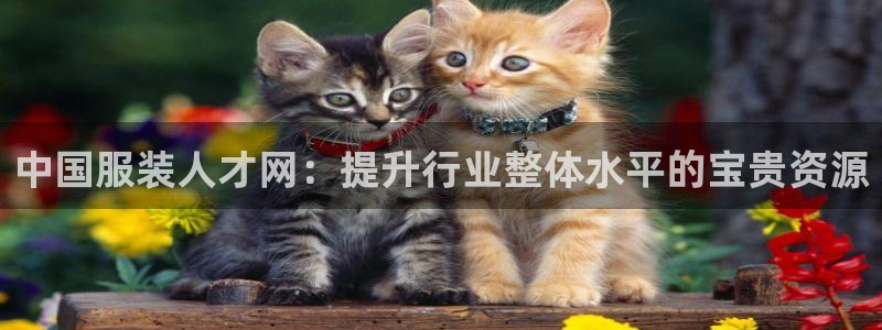 谈球吧体育app下载足球比赛直播