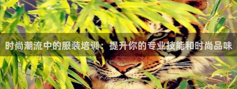 谈球吧体育app下载中心