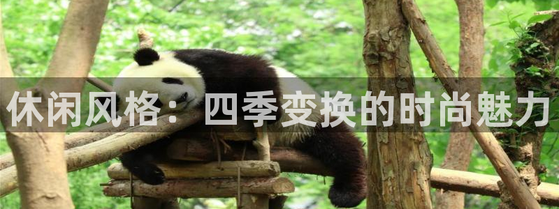 谈球吧平台正规吗可靠吗