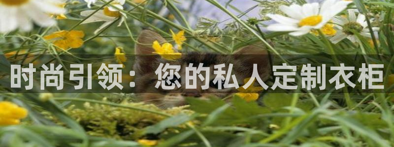 谈球吧体育ios下载