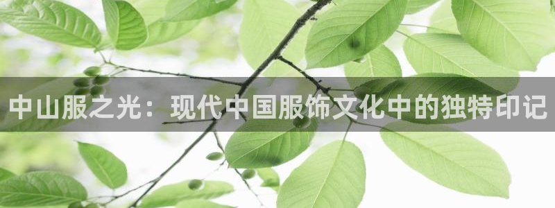 谈球吧在线观看
