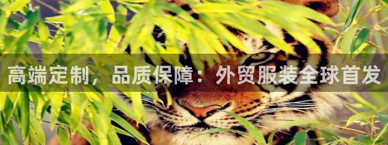 谈球吧可靠吗