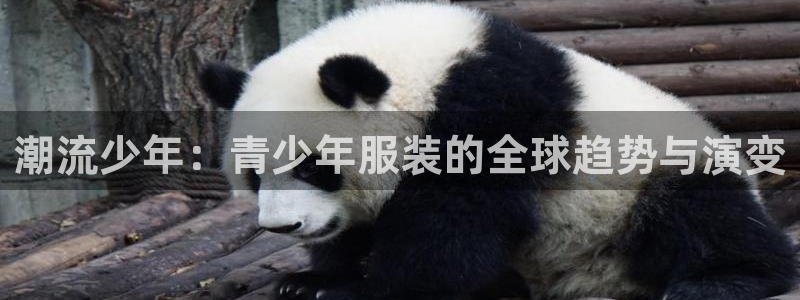 谈球吧体育app下载官网手机版