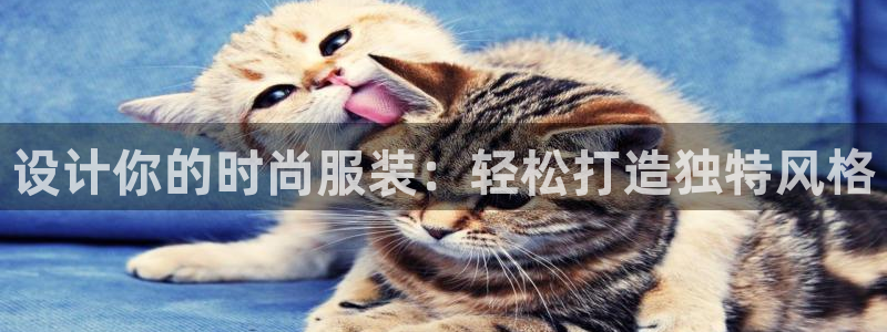 谈球吧官网在线入口免费观看