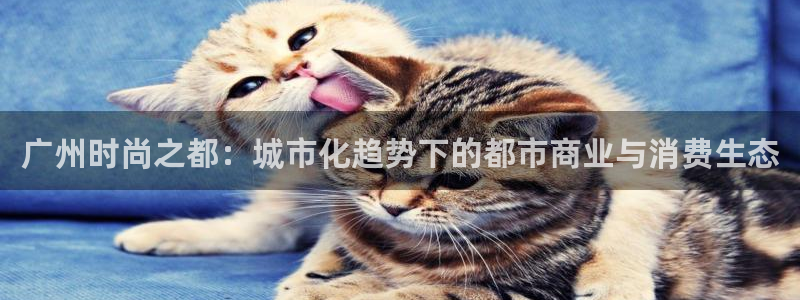 谈球吧app体育