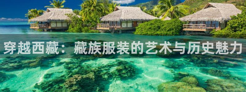 谈球吧红包码