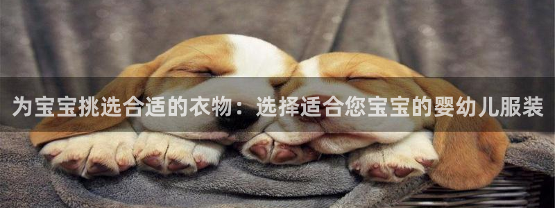 谈球吧官网在线入口手机版免费观看