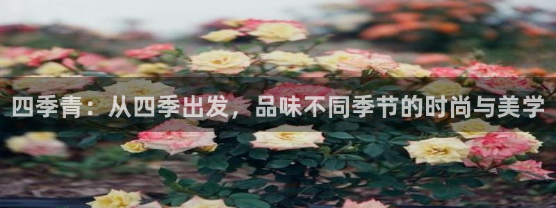 谈球吧是黑台子吗