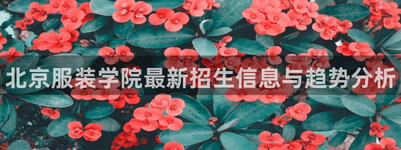 谈球吧体育app下载足球比赛