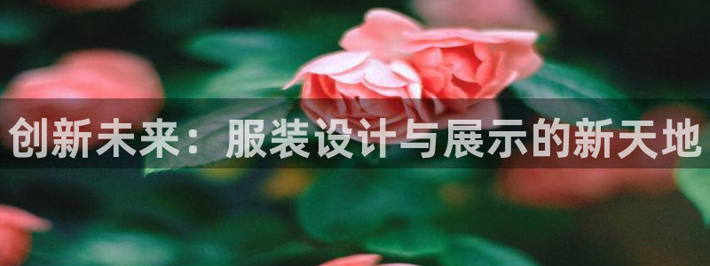 谈球吧的聊天软件叫什么来着