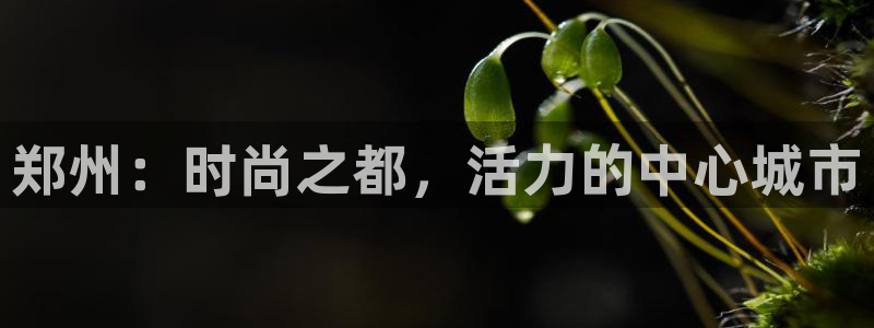 谈球吧官网在线入口手机版