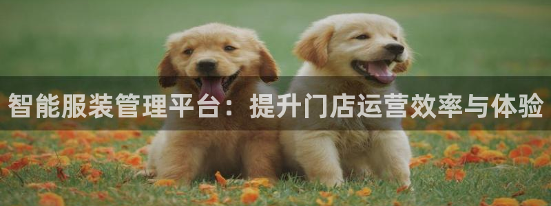 谈球吧是黑台子吗还是白台