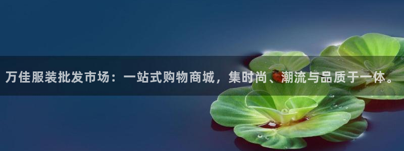 谈球吧与普通平台对比