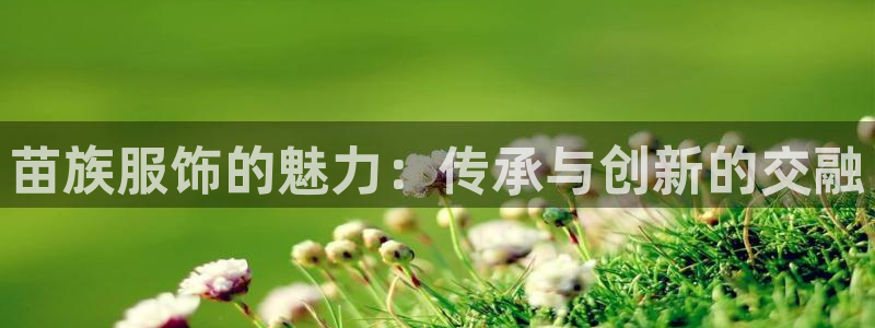 谈球吧体育官网在线入口