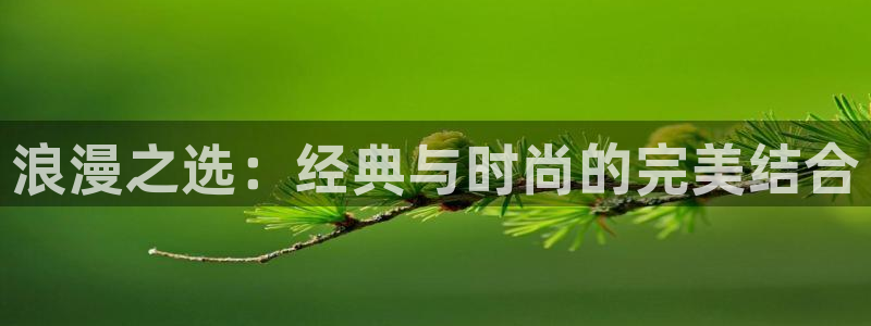 谈球吧怎么充值