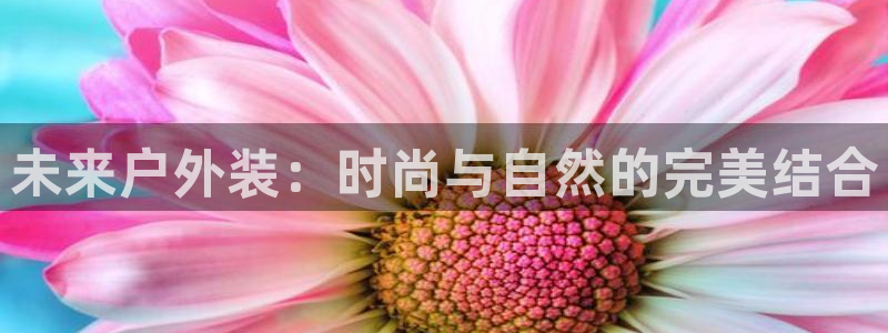 谈球吧-体育赛事
