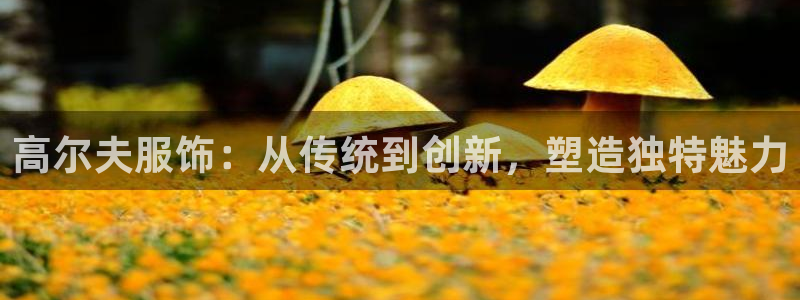 谈球吧APP