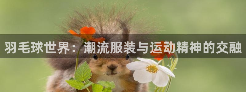 谈球吧体育app下载中心官网