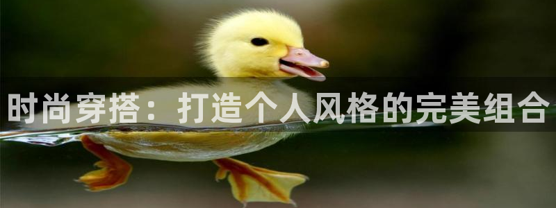 谈球吧体育app登陆不上