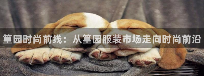 谈球吧app体育下载