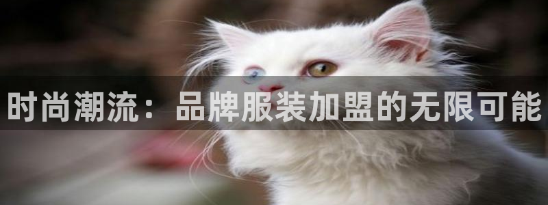 谈球吧属于哪个