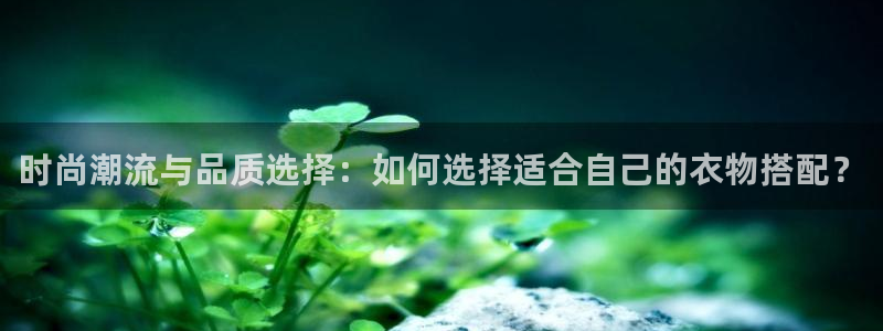 谈球吧tvt