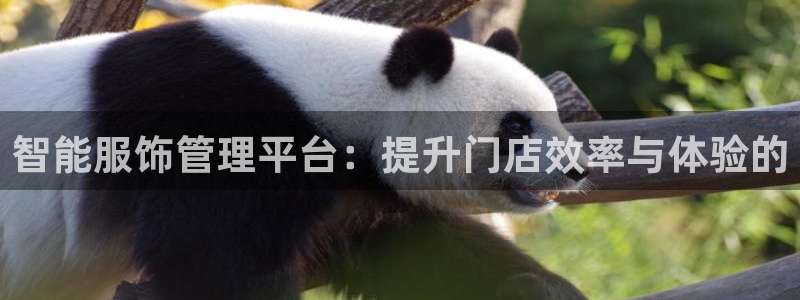 谈球吧(中国)官方网站