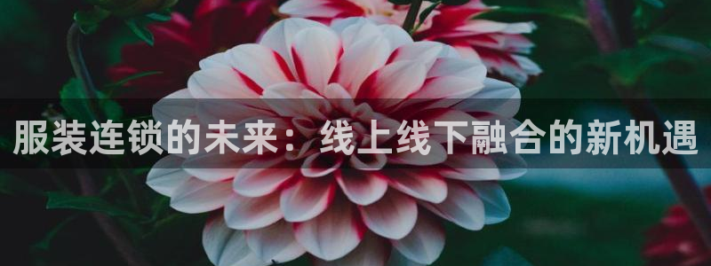 谈球吧app下载ios