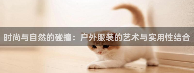 谈球吧网站
