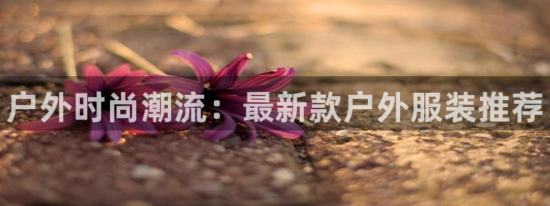 谈球吧官网在线入口免费观看高清视频