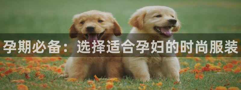 谈球吧体育赛事