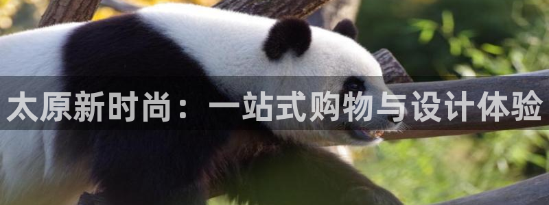 谈球吧官网在线入口免费观看高清版