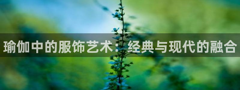 谈球吧体育综合