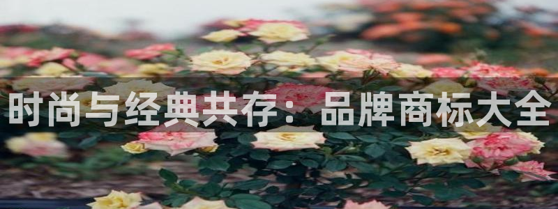 谈球吧体育app下载中心在哪找