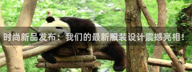 谈球吧咋样黑钱