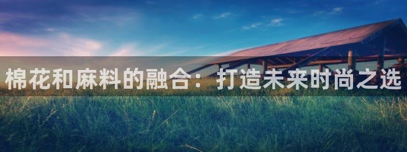 谈球吧体育app下载足球