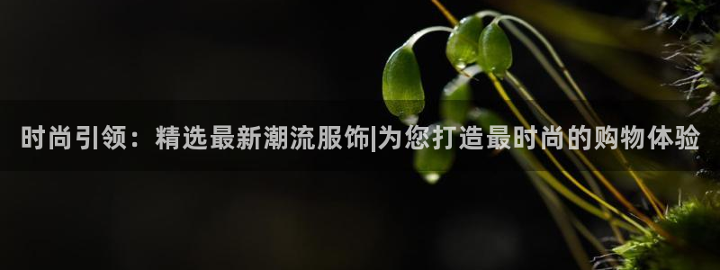 谈球吧体育app下载足球直播