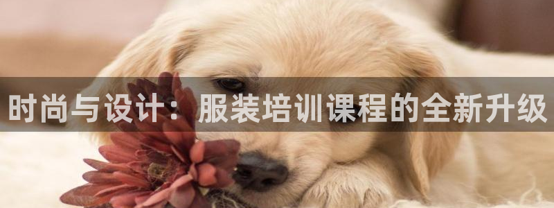 谈球吧体育在线