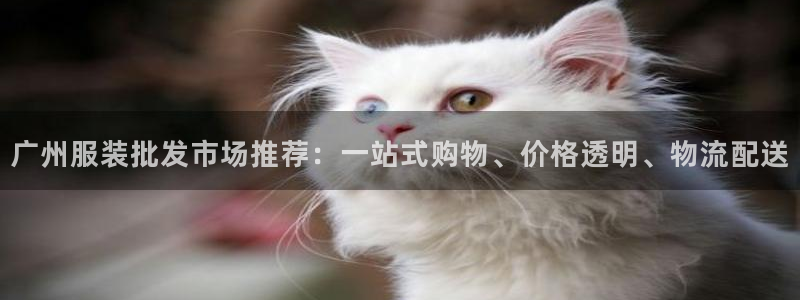 谈球吧买球是正规的吗