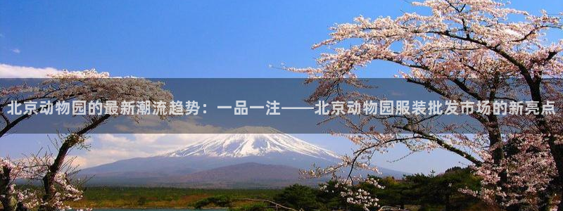 谈球吧算违法行为吗知乎