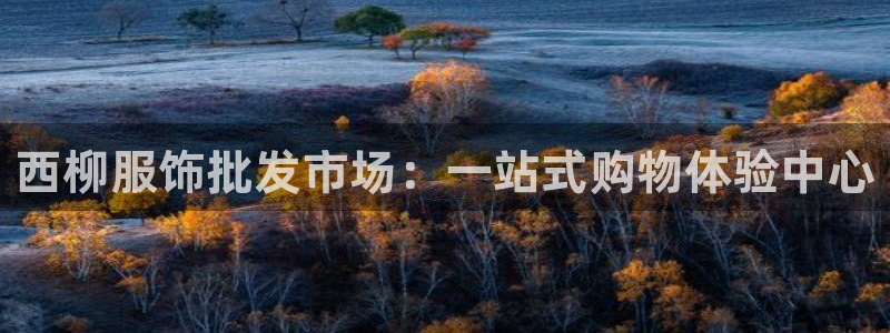 谈球吧体育app下载官网苹果版