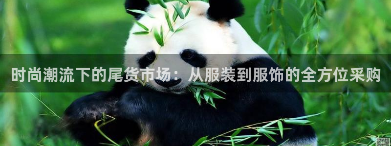 谈球吧体育app下载中心官网手机版