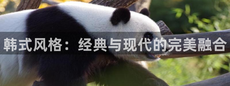 谈球吧登录