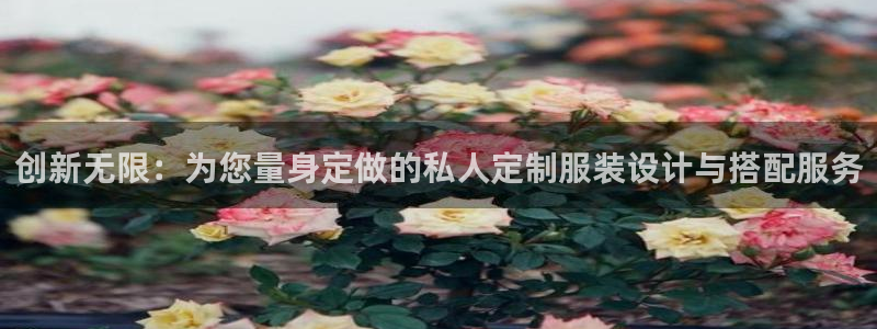 谈球吧官网在线入口免费观看高清版