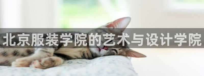 谈球吧平台app下载网址