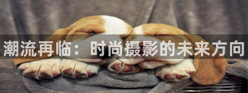 谈球吧体育app下载中心官方