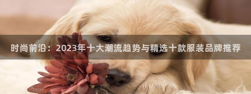 谈球吧算违法行为吗为什么