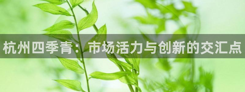 谈球吧网页版在线入口